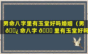 男命八字里有玉堂好吗婚姻（男 🌿 命八字 🐒 里有玉堂好吗婚姻怎么样）